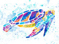 Image Not Available